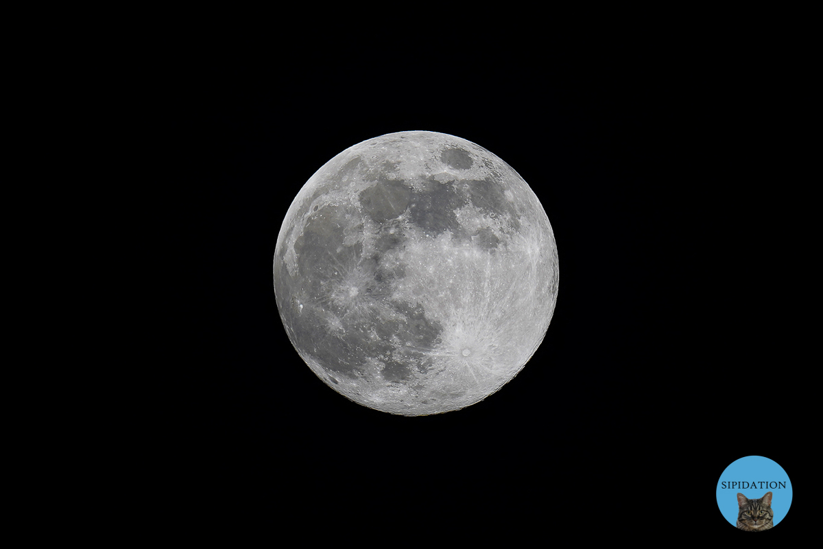 Full Moon - Flower Moon - 05-06-2020