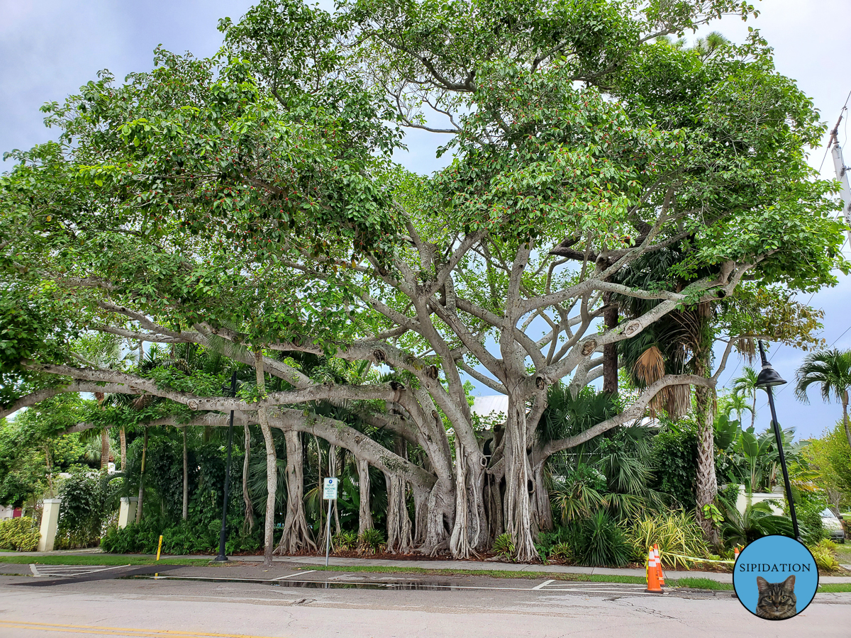 Naples, Florida