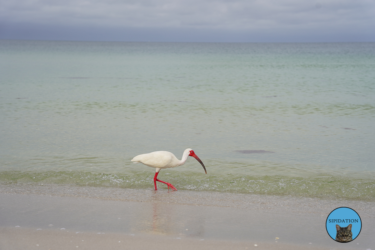 Naples, Florida