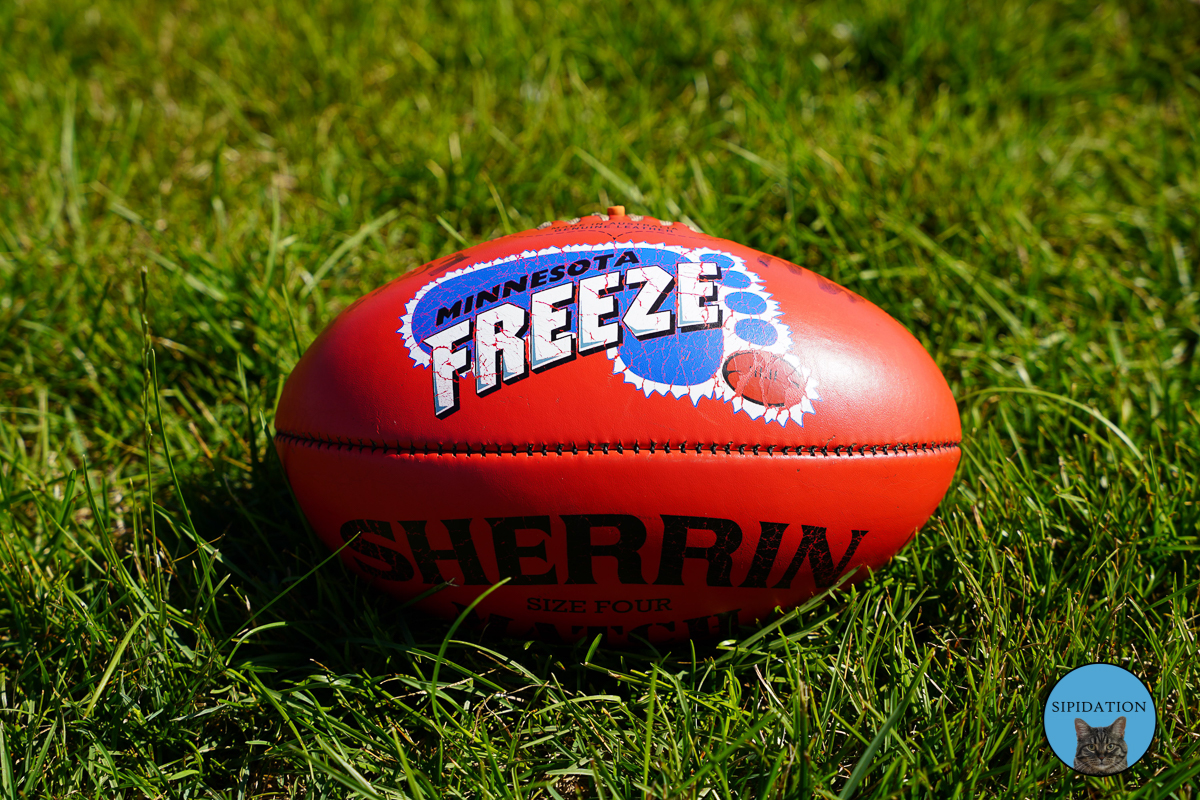 2021 Minnesota Freeze